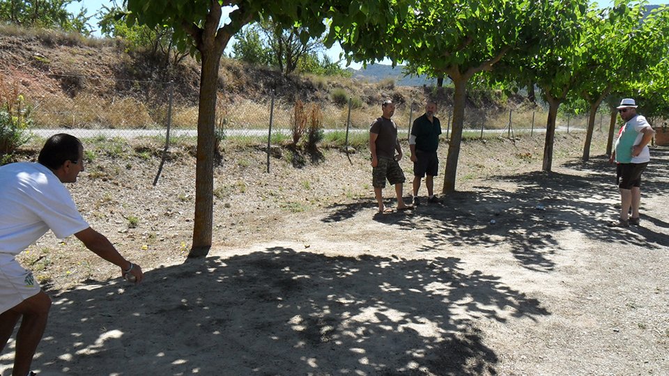 Servicios Área deportiva 2