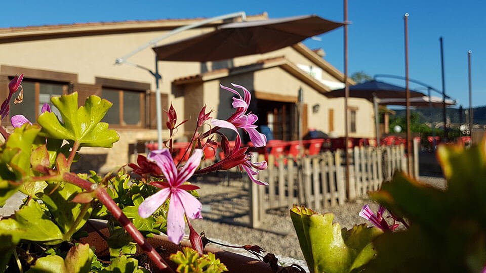 Servicios Bar y Restaurante 11